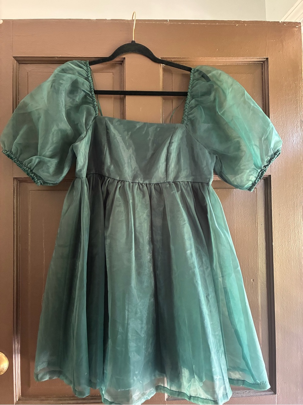 TCEC Green Puff-Sleeve Organza Mini Dress